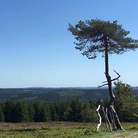 Berg- Und Seeblick Винтерберг Экстерьер фото